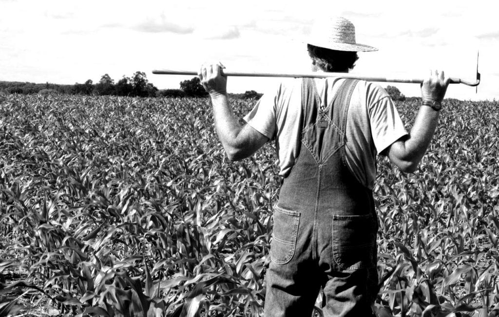 The Eyes of the Farmer | @ryanmw92 @trackstarz