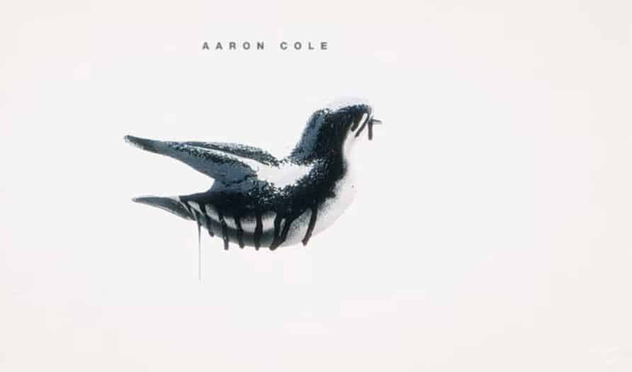 Aaron Cole Drops New Double Single | @iamaaroncolee @iamaaroncole @trackstarz