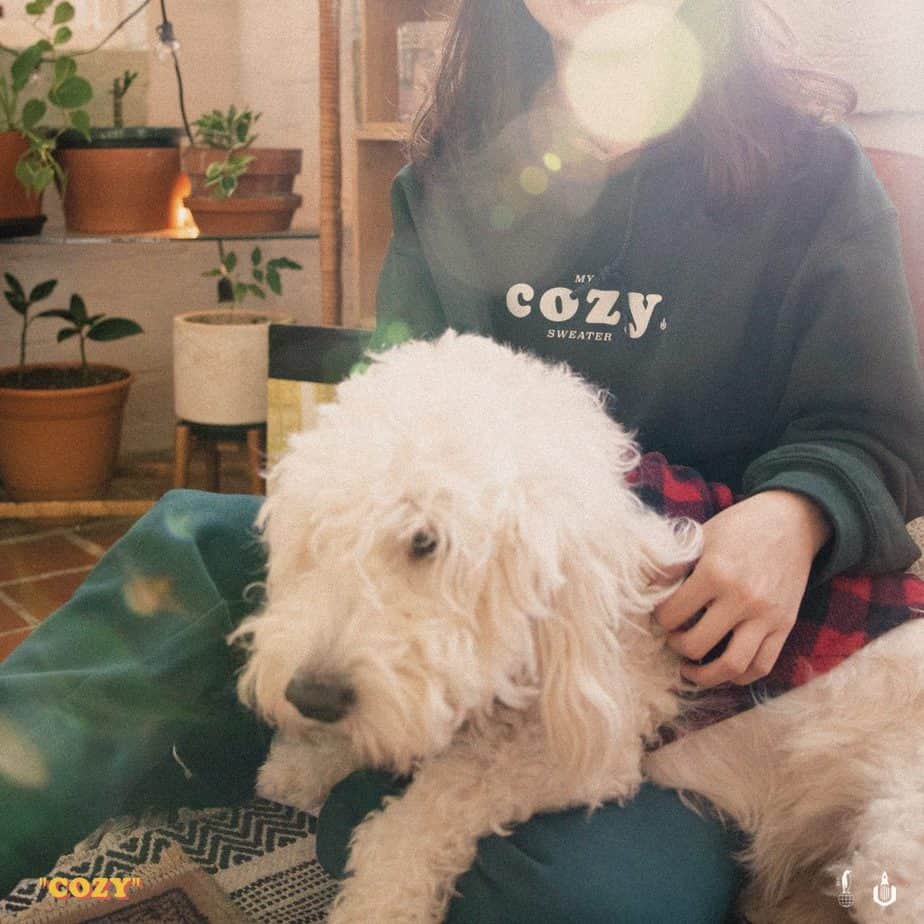 Uzuhan Drops Double Single “Cozy” | @uzuhanmusic @trackstarz